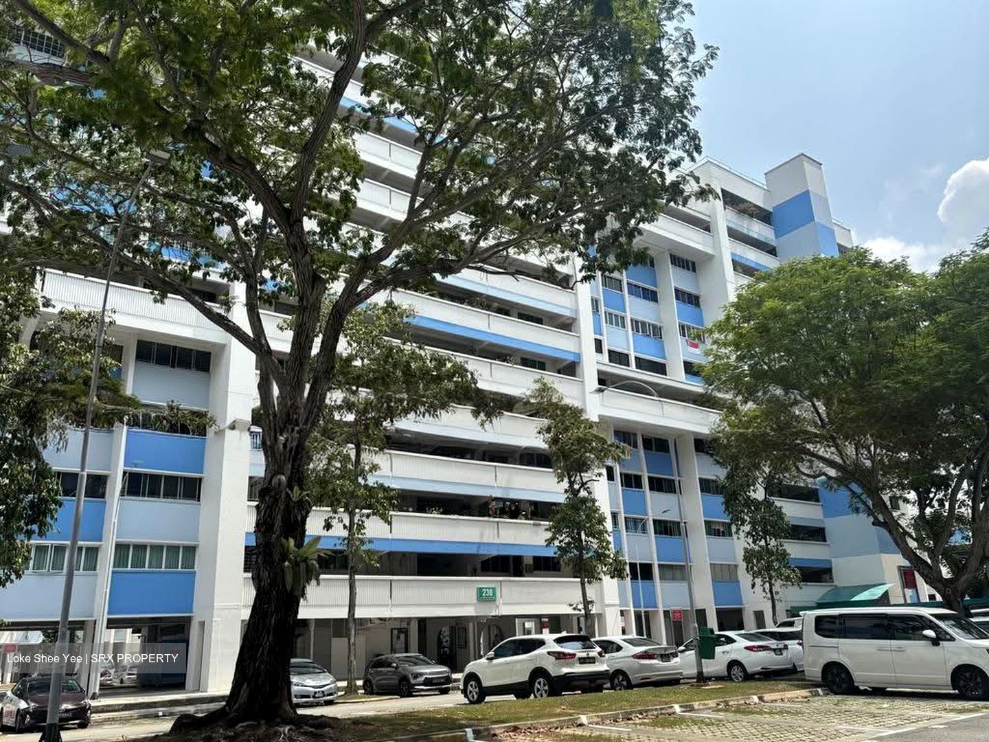 Blk 236 Tampines Street 21 (Tampines), HDB 4 Rooms #628408371